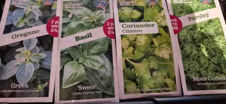 Photo of free Herb seeds (SK8 Cheadle) #1