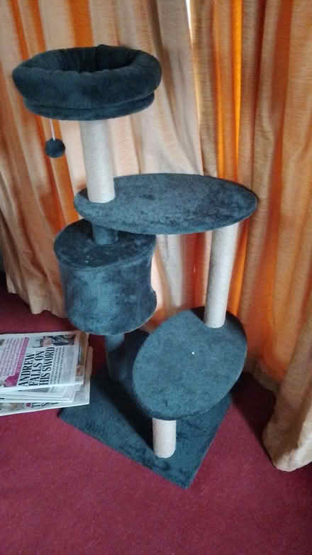 Photo of free Cat Tree (Ewshot GU10) #1