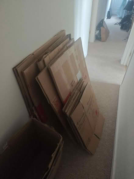 Photo of free Strong Boxes (Cherry Willingham) #1