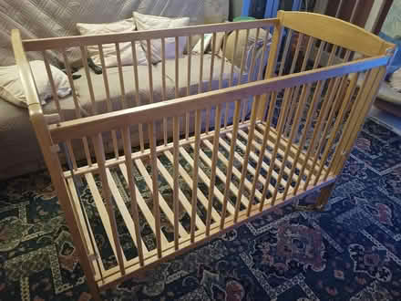 Photo of free Cot (SS12 Wickford Essex) #1