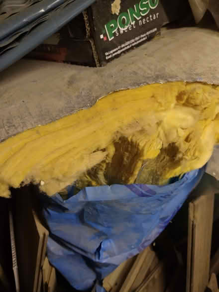 Photo of free insulation (Barnard's Green WR14) #1