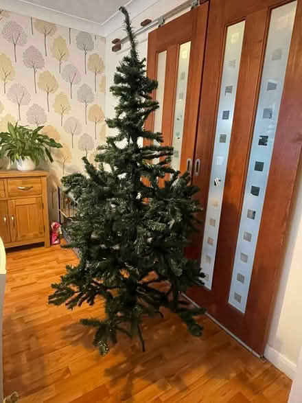 Photo of free 6ft Christmas tree (Kidderminster DY10) #1