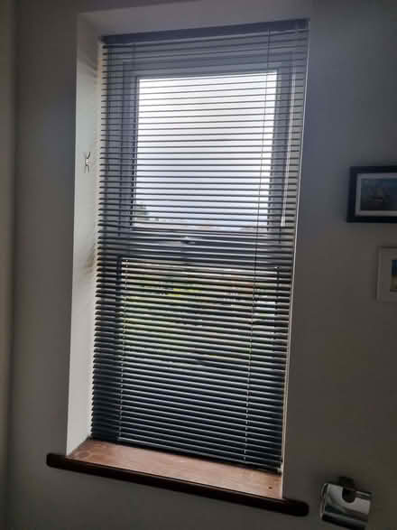 Photo of free Venetian blinds (Odd Down) #1