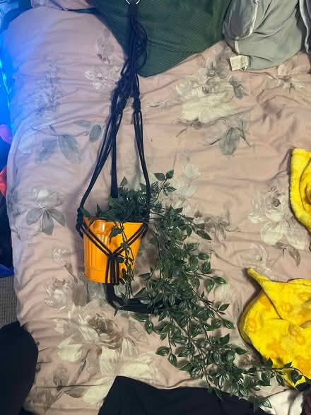 Photo of free Faux hanging plant (Shenley Brook End MK5) #1