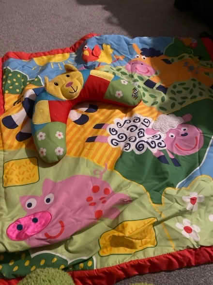Photo of free Baby mat and cushion (Potton SG19) #1