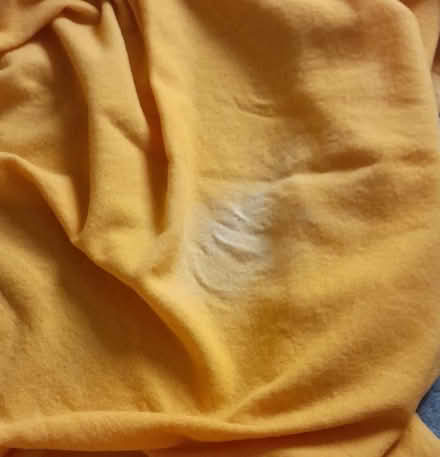 Photo of free Vintage 100% wool blanket (Burgess hill) #3