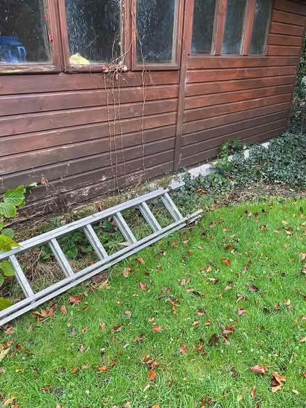Photo of free Ali ladders (West Ewell Epsom KT19) #2