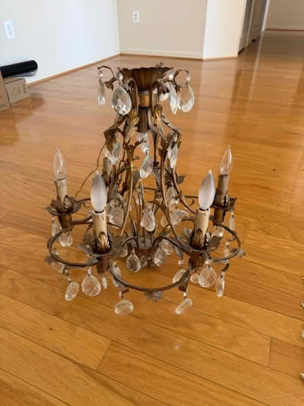 Photo of free Chandler (Leisure World 20906) #1