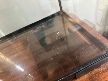 Photo of free 20 gal terrarium w/ accessories (Cap Hill) #2