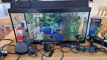 Photo of free 50 Litre Fish Tank (Belle Vue, Shrewsbury) #3