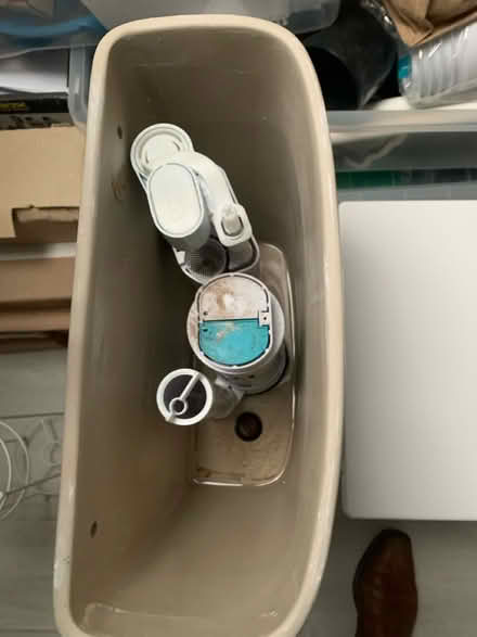 Photo of free Toilet with soft close lid (Bosham, PO18) #4