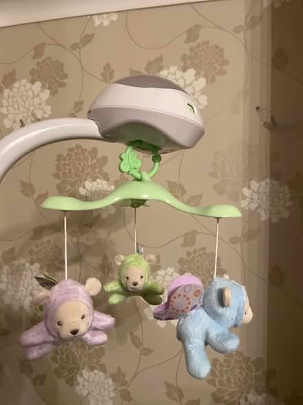 Photo of free Baby’s bed attachment (Craigour EH17) #2