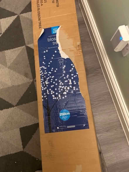 Photo of free Outside lit blossom tree (Westbrook WA5) #1