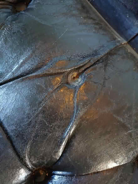 Photo of free Sofa bed (Upper Snodsbury WR7) #3