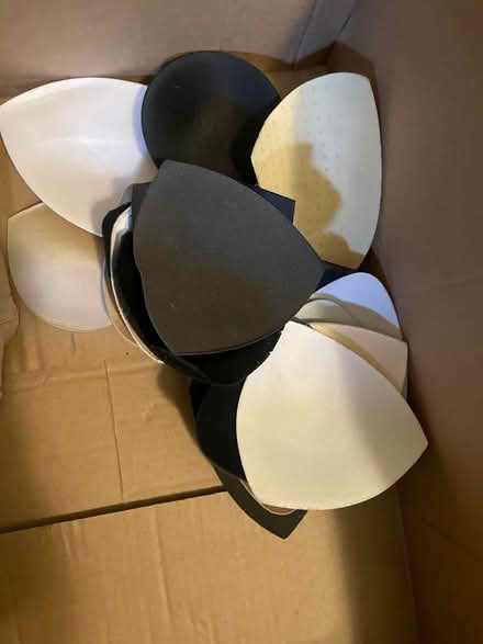 Photo of free 21 bra/swimsuit lining padding (Frederick, MD) #1