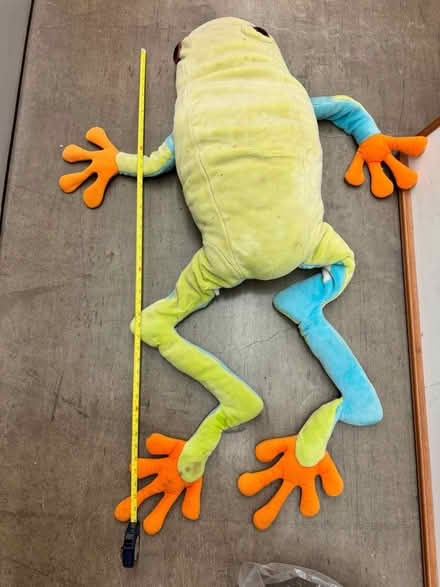 Photo of free Large Stuffed Tree Frog (Fiesta gardens) #1
