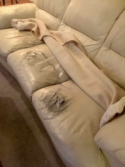 Photo of free Damaged leather couch and love seat (Douglasdale Estates SE) #4