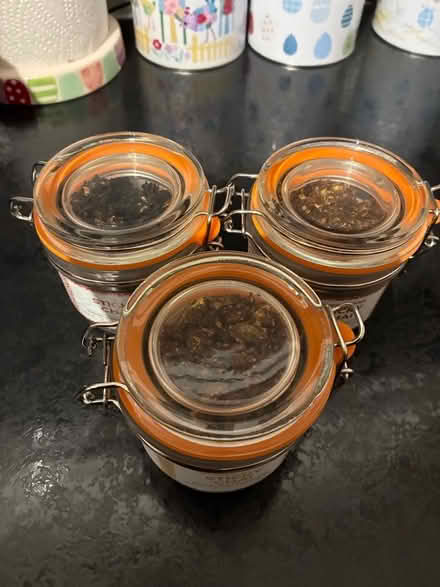 Photo of free Sticky Chai Trio bb May 2025 (Caldy Valley CH3) #3