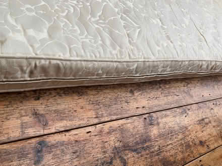 Photo of free Large Cream covered foam cushion (Chiddingfold) #3