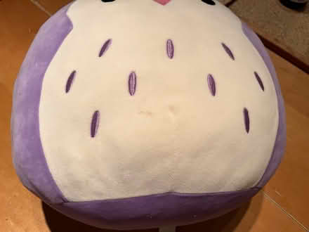 Photo of free Large squishmallow (Etobicoke South (Mimico)) #3