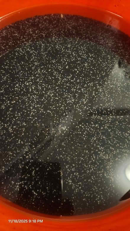 Photo of free Aquarium sand (Germantown) #1