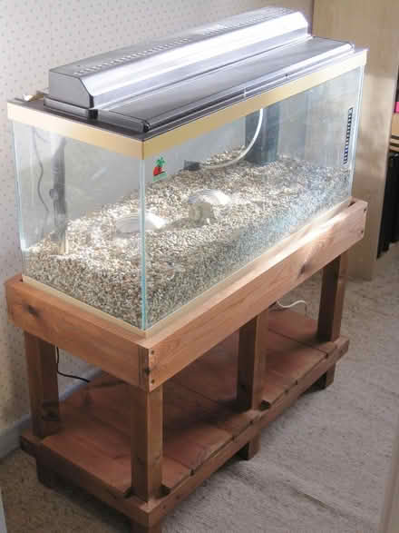 Photo of free Aquarium (Sandhurst GU47) #1