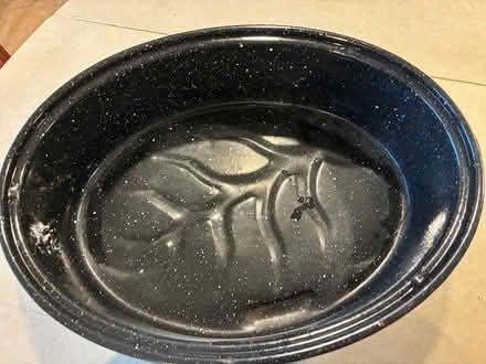 Photo of free Iarge roasting pan (Oakland) #2