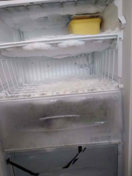 Photo of free Tall Beko Fridge Freezer (DA12) #2