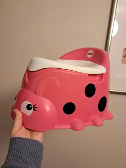 Photo of free Potty (Oldfield Park) #1