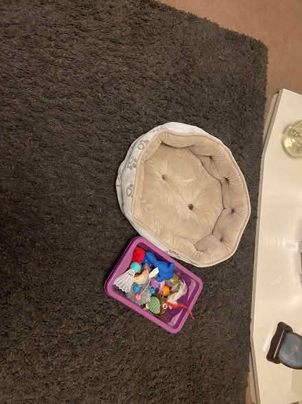 Photo of free Cat bed (Birkenhead) #1