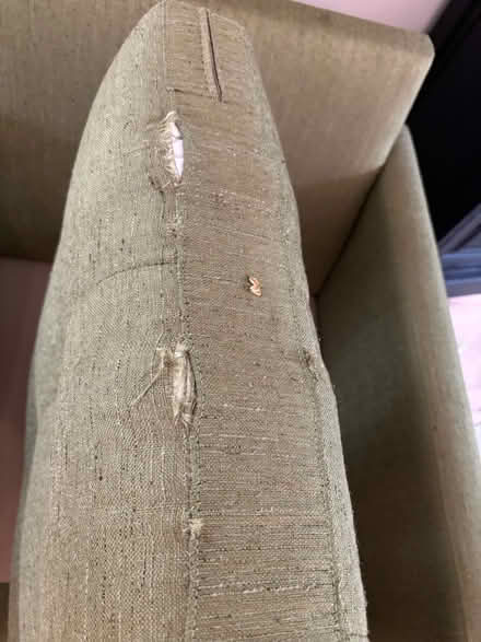 Photo of free Crate and Barrel Petrie Chair (60093) #4