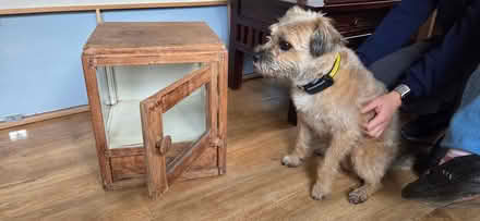 Photo of free Teak Bedside Cabinet, Glass Panels (GL53 Charlton Kings) #1