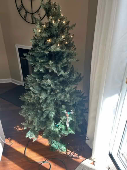 Photo of free Christmas Tree (Flemington) #1