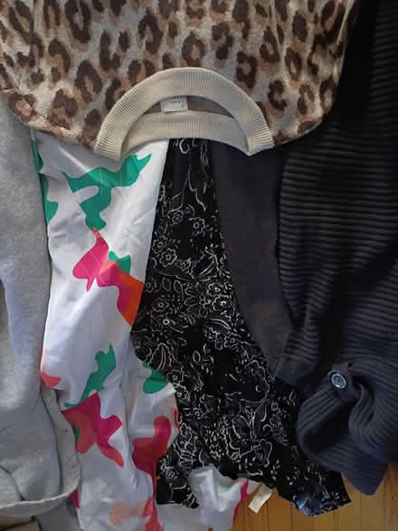 Photo of free miscellaneous woman's clothes (St Clair Shores) #2