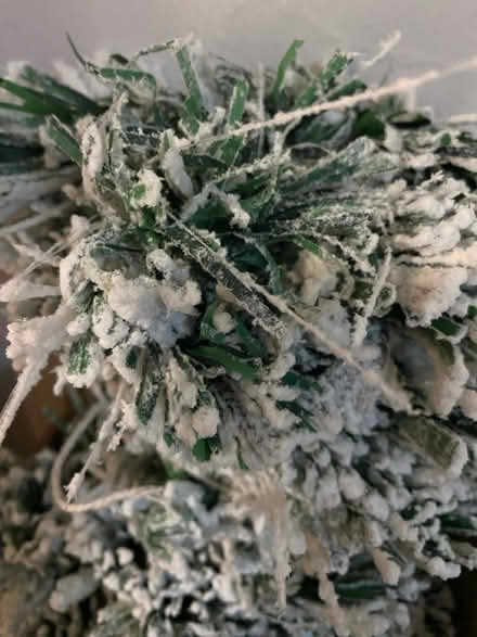 Photo of free 6ft snow flocked Christmas tree (ST11 9HR) #1