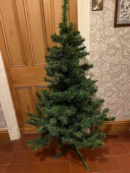 Photo of free Christmas Tree (Dolphinholme LA2) #1