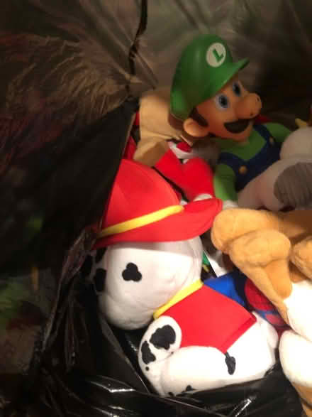 Photo of free toys (Glendale Heights) #4