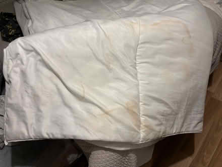 Photo of free Slumberdown 10.5Tog kingsize (Chatham) #2