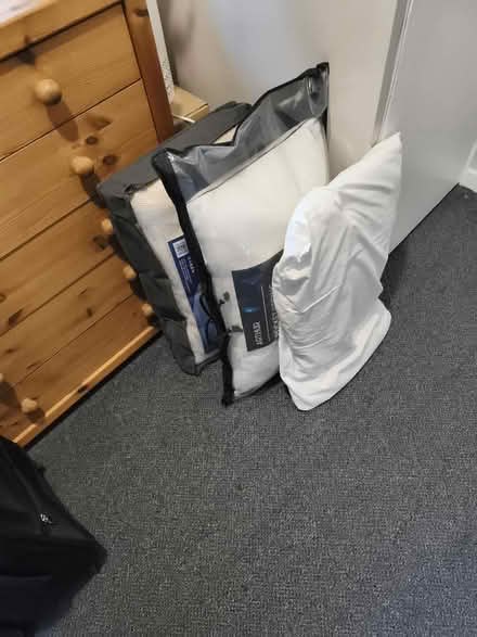 Photo of free 3 pillows (Hillhouse ML3) #1