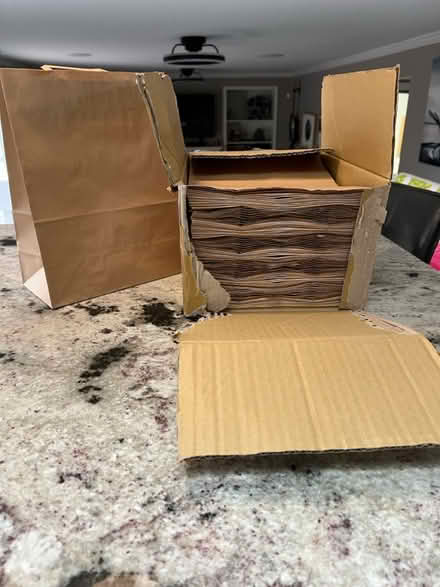 Photo of free Craft / paper bags (83rd & Mendingwall) #1