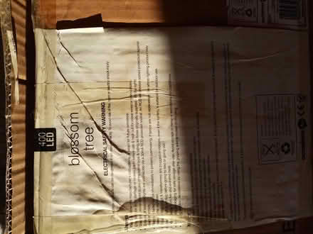 Photo of free Exterior blossom tree 7ft (WA5 2LH) #2