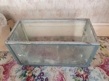 Photo of free Aquarium/ vivarium tank (Caterham on the Hill CR3) #1