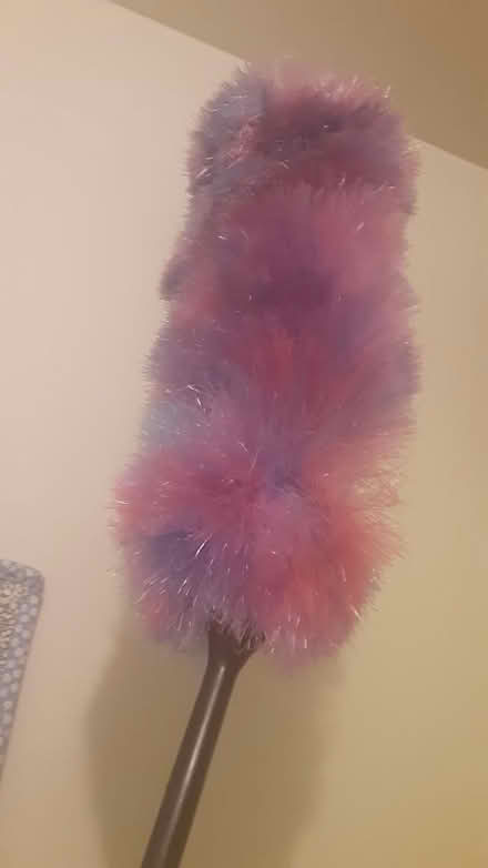 Photo of Long-handled duster (Southdown and Truscott) #1