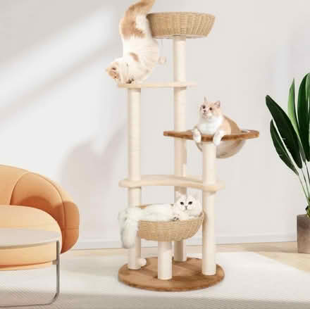 Photo of Gently used cat tree (Upper Patten) #1