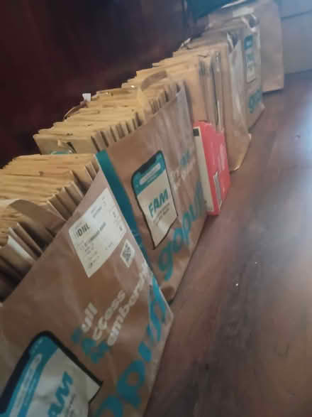 Photo of free Large paper grocery bags, plain and foil-lined (Dalston E8) #1