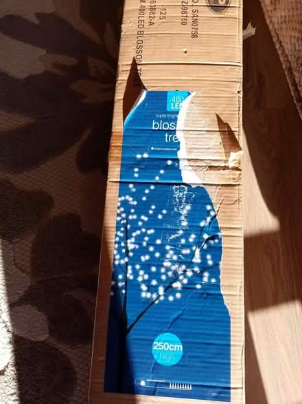 Photo of free Exterior blossom tree 7ft (WA5 2LH) #1