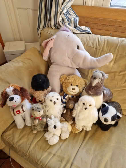 Photo of free Soft toys (GU12) #1