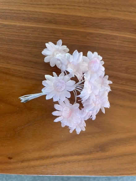 Photo of free Fabric flowers (Battenhall WR5) #1