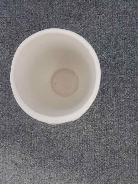 Photo of free Plant pot (Mitcham CR4) #2