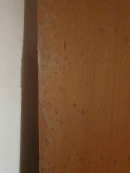 Photo of free Tall bookcase (Old Trafford M16) #3